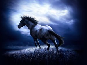 Fantasy-Horse-in-the-dark-wallpaper_6300